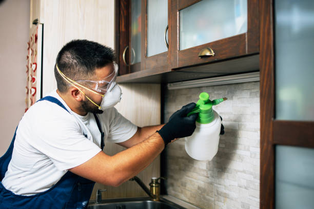 Best Commercial Pest Control Services  in Scissors, TX