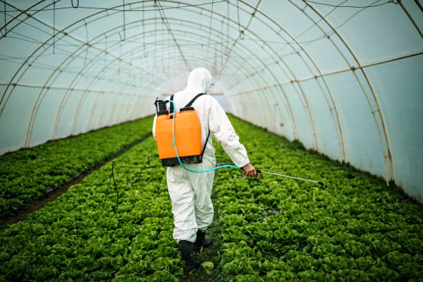 Best Affordable Pest Control Services  in Scissors, TX