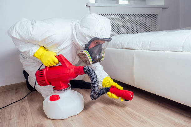 Best Affordable Pest Control Services  in Scissors, TX