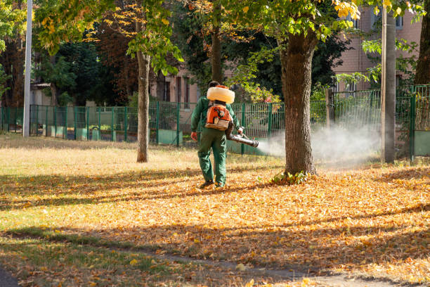 Best Ant Control Services  in Scissors, TX