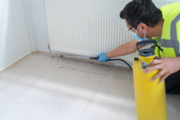Best Bed Bug Extermination  in Scissors, TX