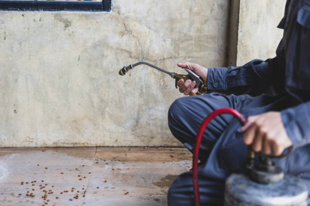 Pest Prevention Services in Scissors, TX