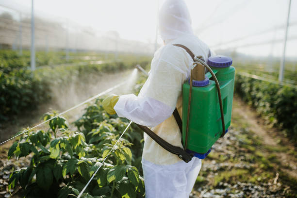Best Pest Removal Services  in Scissors, TX